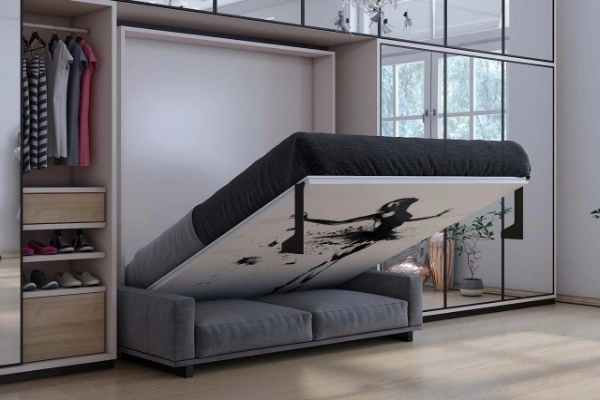 Sofa Cum Bed
